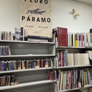 Figure 3. Library at UNAM-Canada<br />
Photo taken by Noémie Burrs