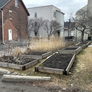 CommunityGardenBedsuOttawa.jpeg
