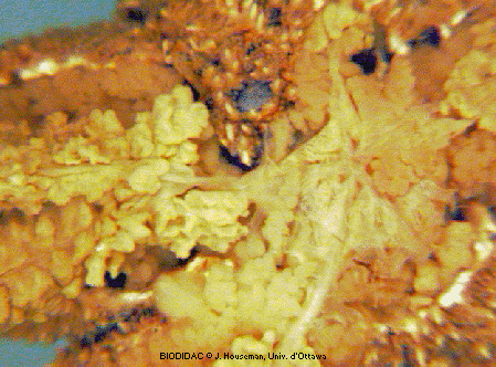 aste030p.gif aste030p.gif