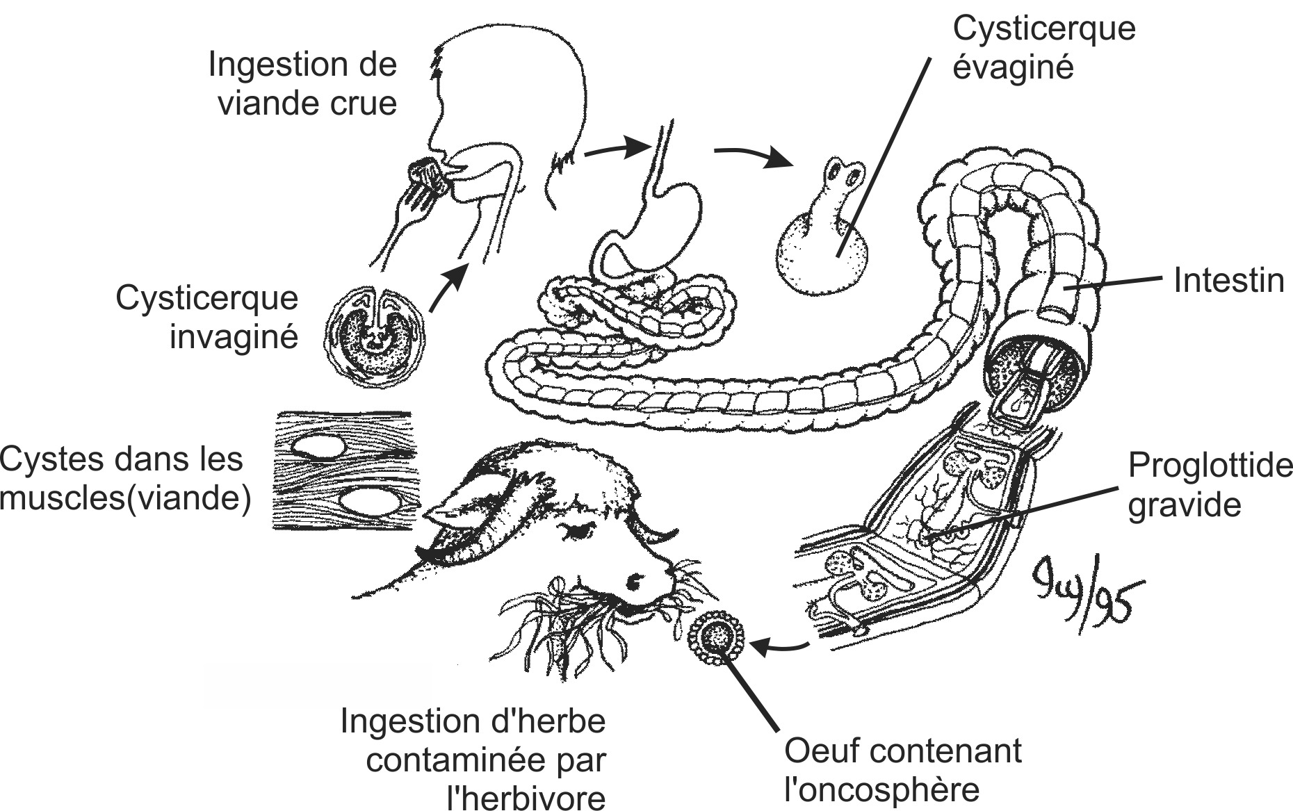 cest005b-FR.png cest005b-FR.png