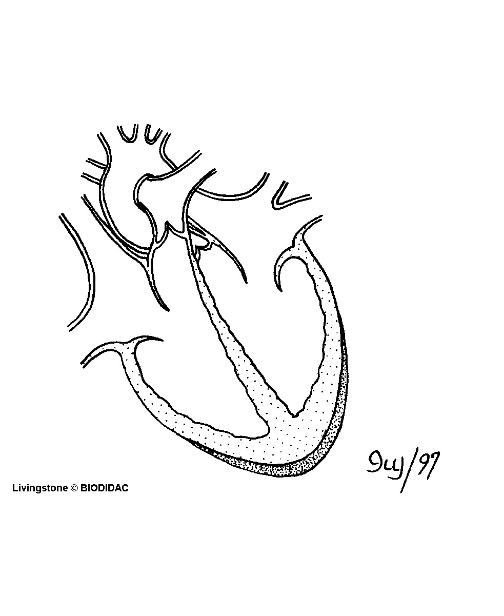 humn046b.gif humn046b.gif