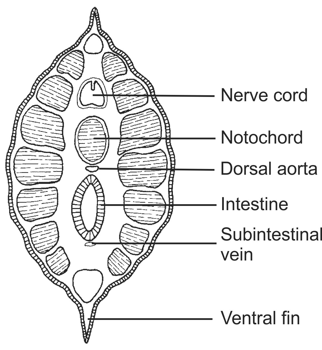 cepl006b-EN.png