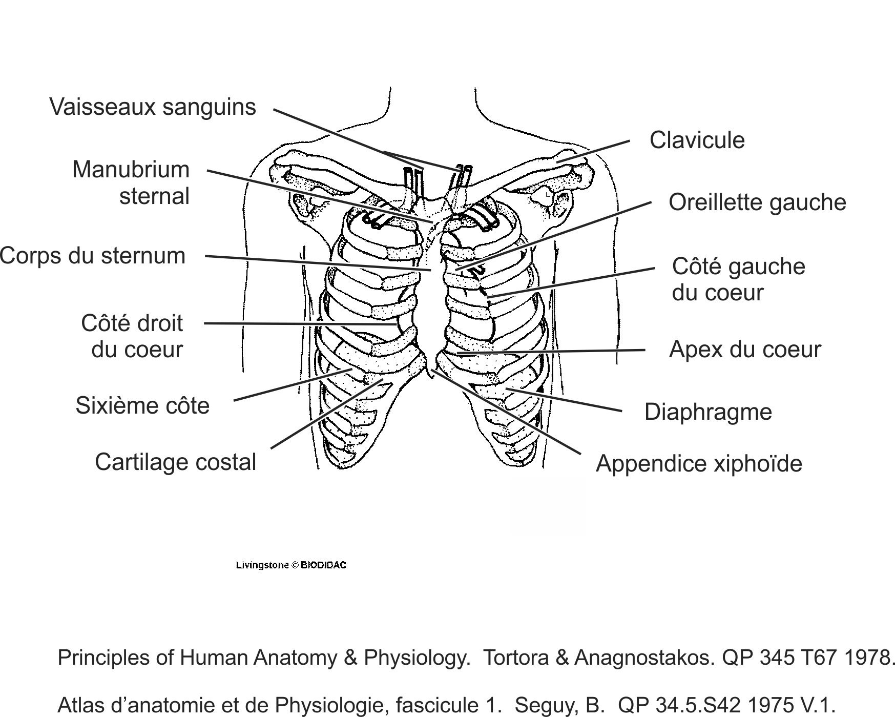 humn060b-FR.png