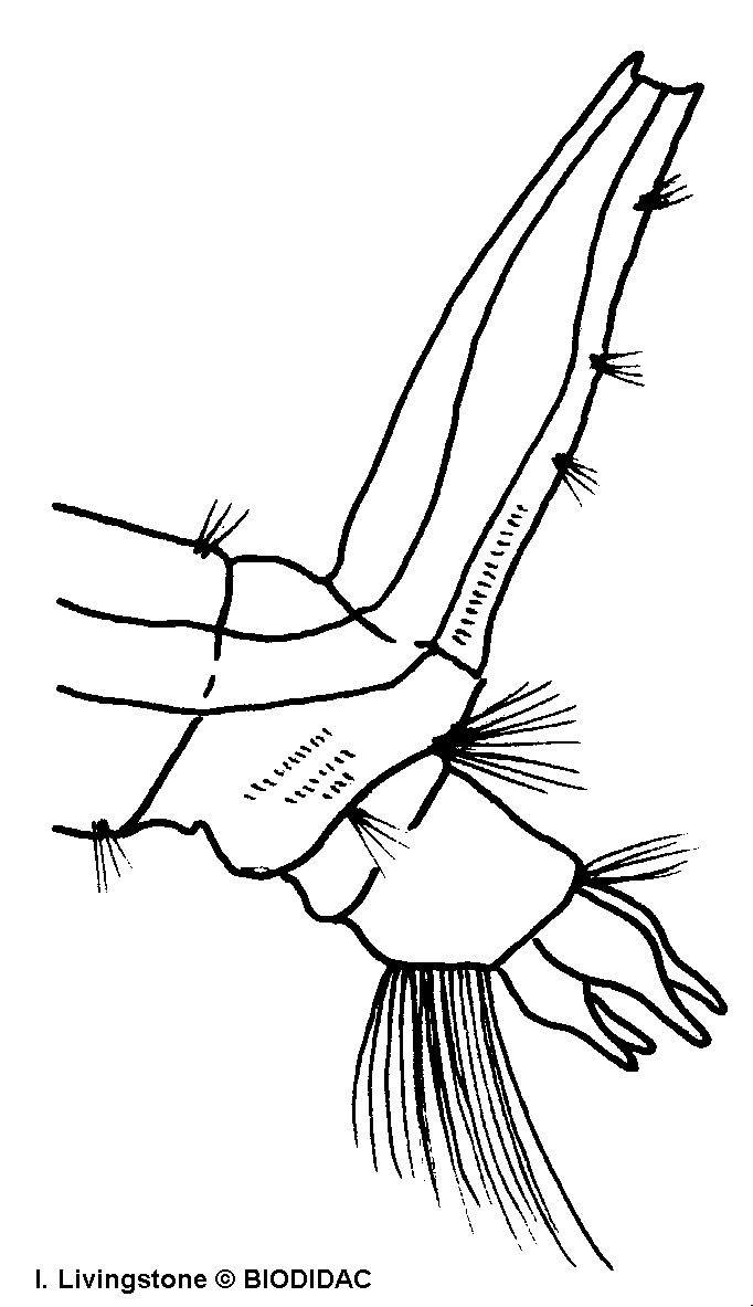 dipt006b.gif dipt006b.gif