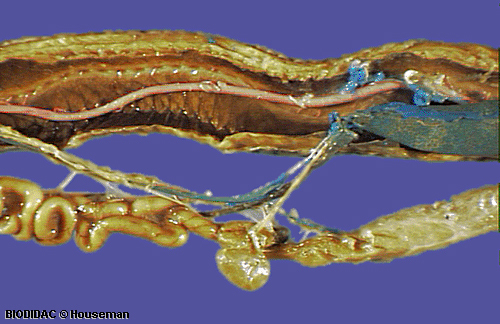 rept034p.jpeg rept034p.jpeg