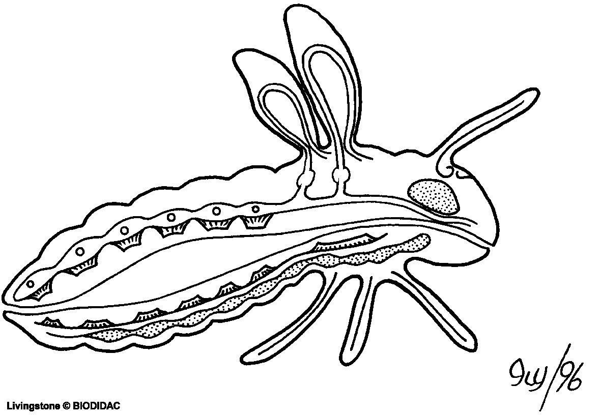 inse059b.gif inse059b.gif