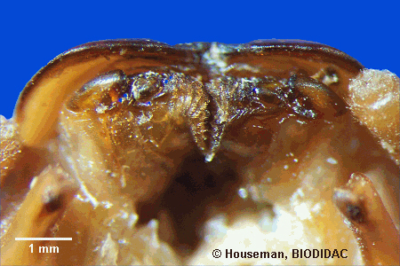 unir044p.jpeg unir044p.jpeg