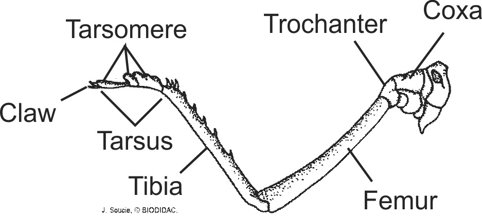 inse002b-EN.png inse002b-EN.png