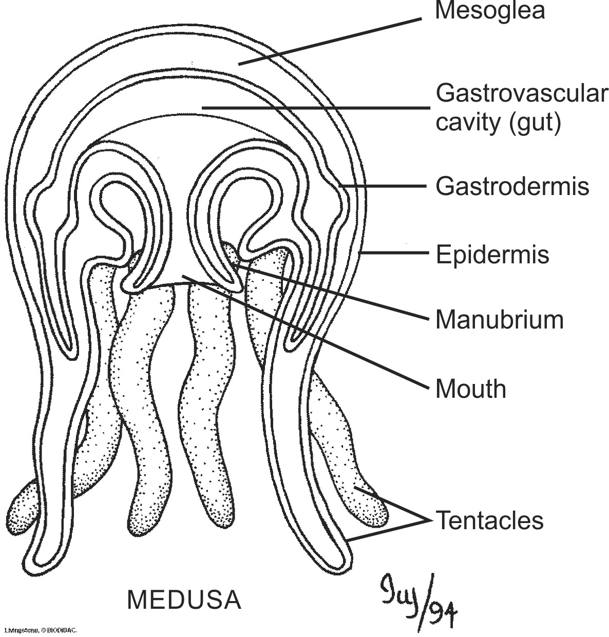 hydr003b-EN.png hydr003b-EN.png