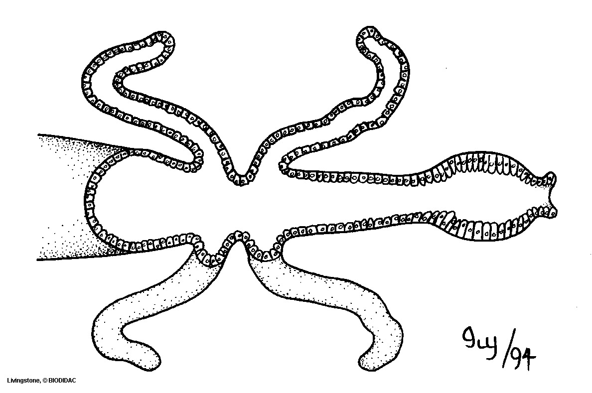 inse004b.gif inse004b.gif