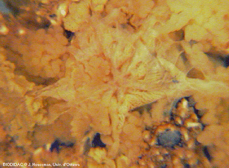 aste019p.gif aste019p.gif