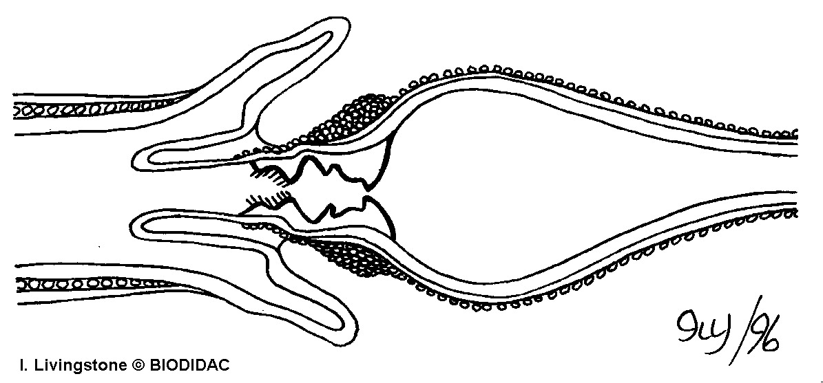 inse018b.gif inse018b.gif