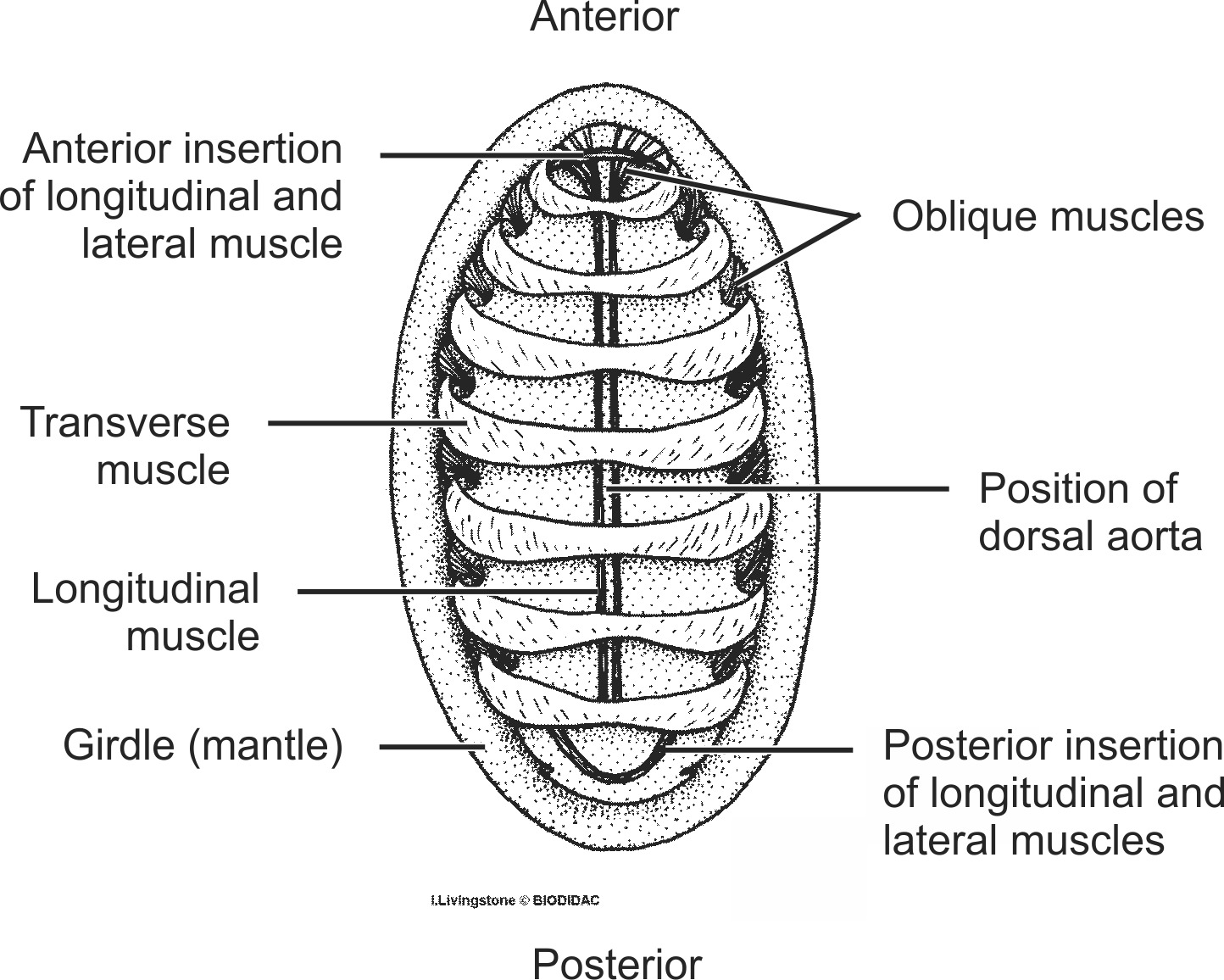 polp007b-EN.png polp007b-EN.png
