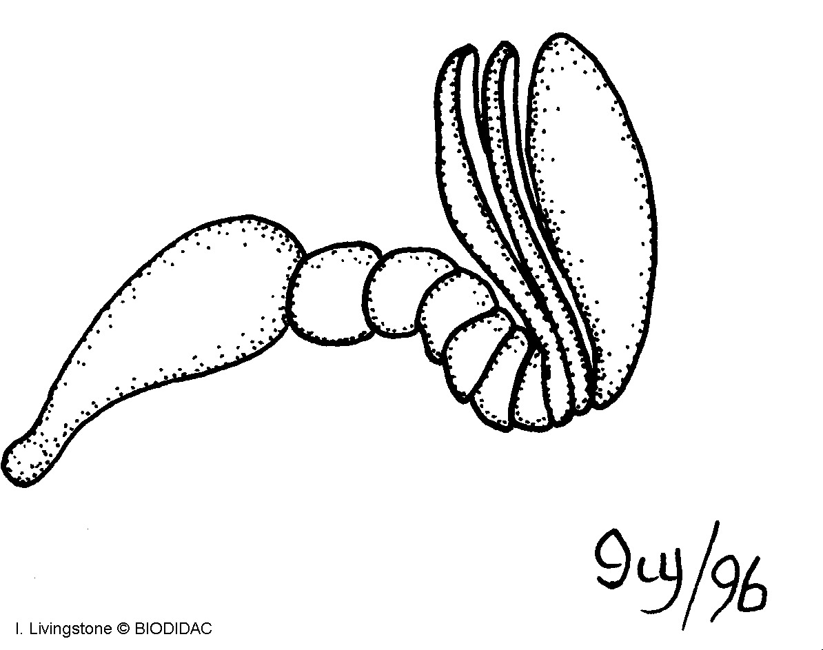 inse033b.gif inse033b.gif