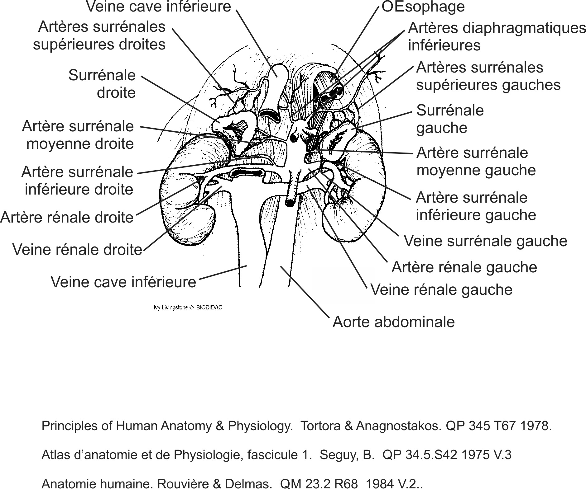 humn112b-FR.png