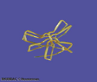 chel006p.gif chel006p.gif