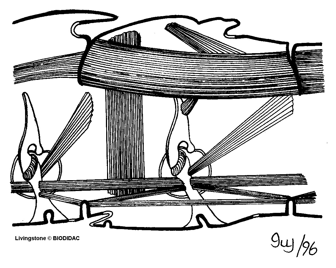 inse055b.gif inse055b.gif