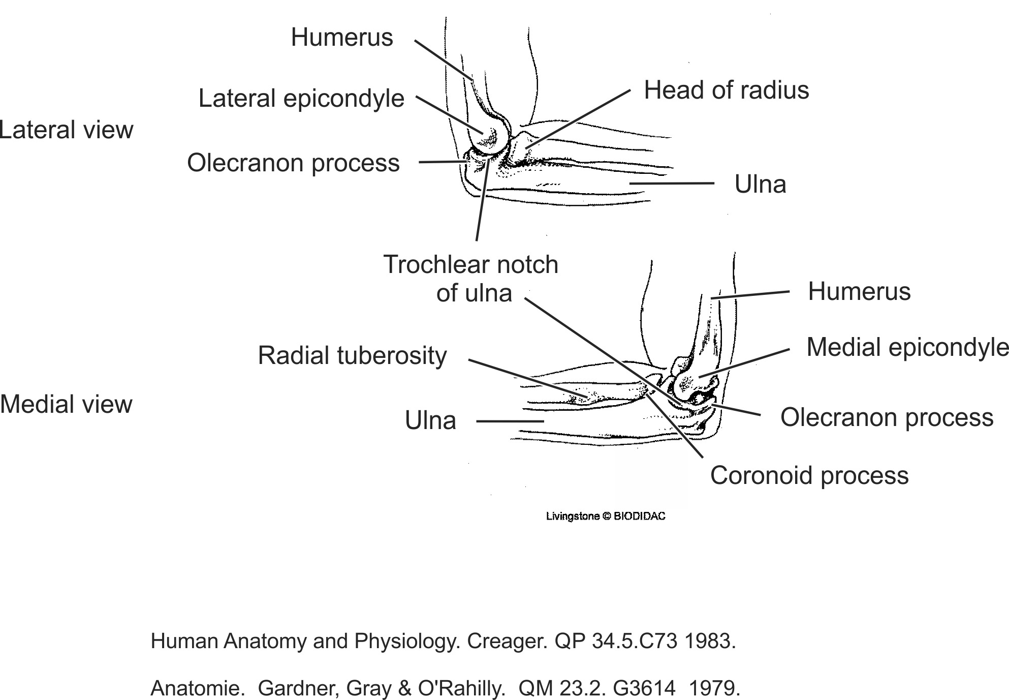 humn121b-EN.png