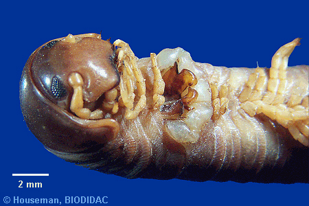 unir033p.jpeg unir033p.jpeg