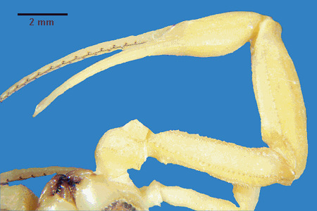 chel049p.gif chel049p.gif