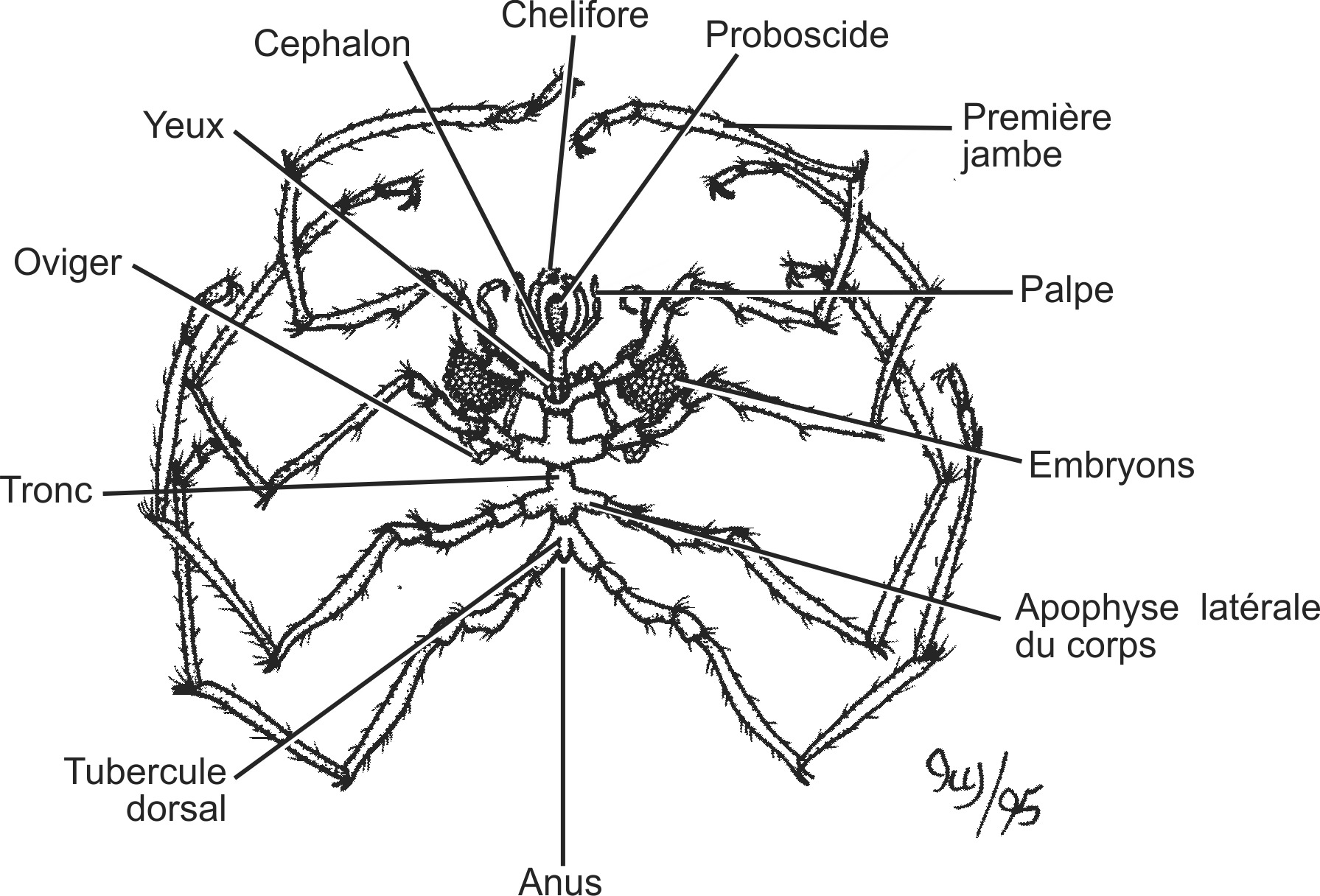 chel004b-FR.png chel004b-FR.png