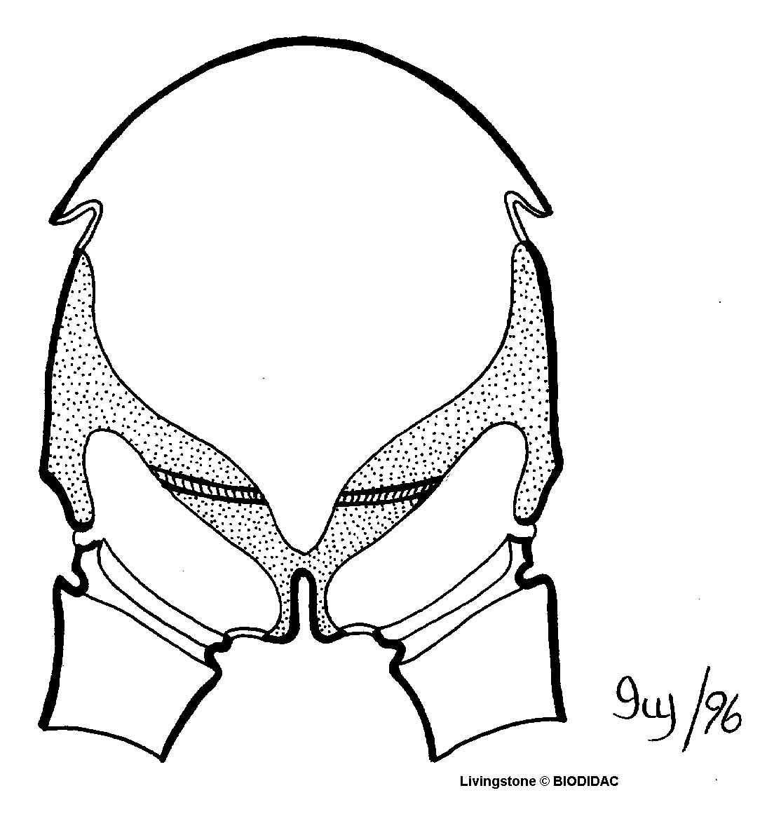 inse050b.gif inse050b.gif