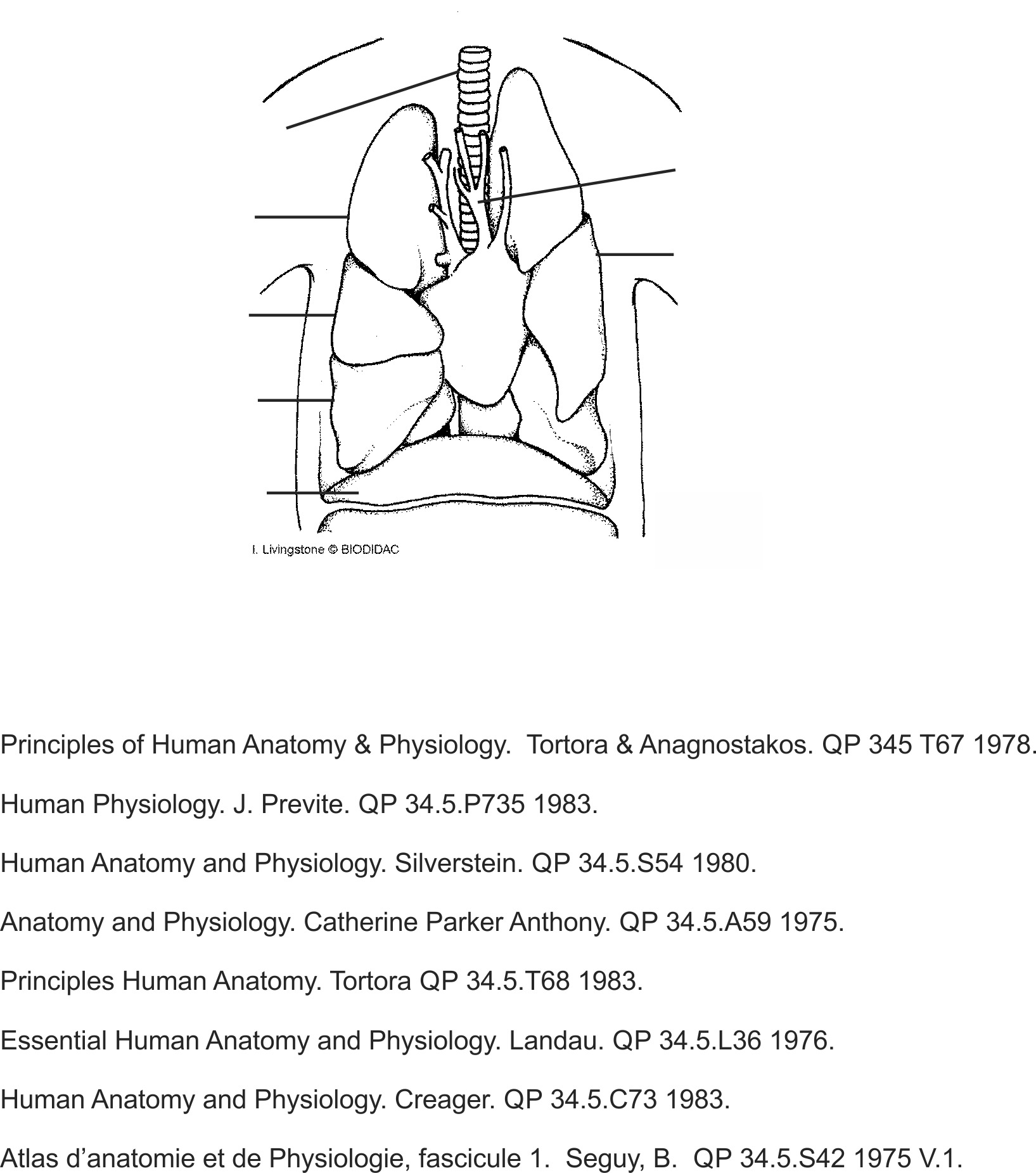 humn089b-ENblank.png humn089b-ENblank.png