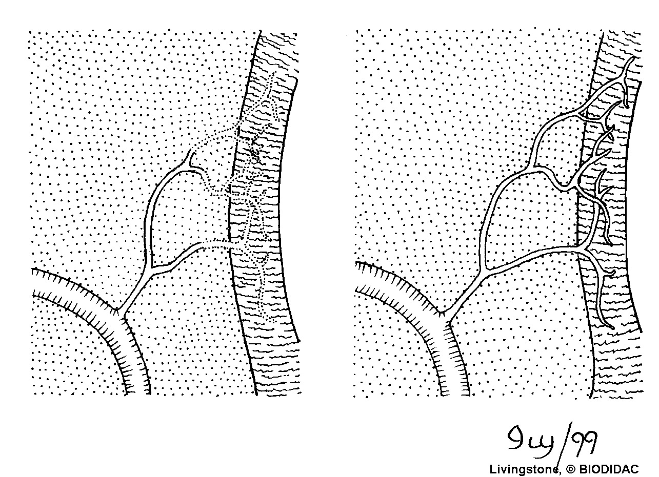 inse132b.gif inse132b.gif