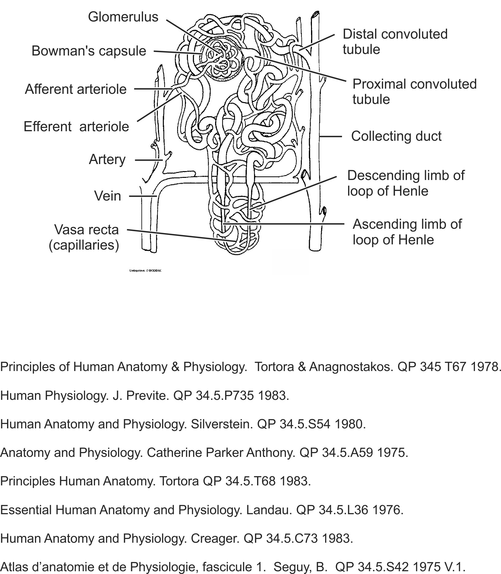 humn088b-EN.png