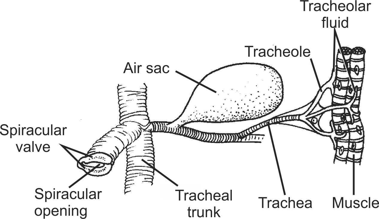 inse001b-EN.png inse001b-EN.png