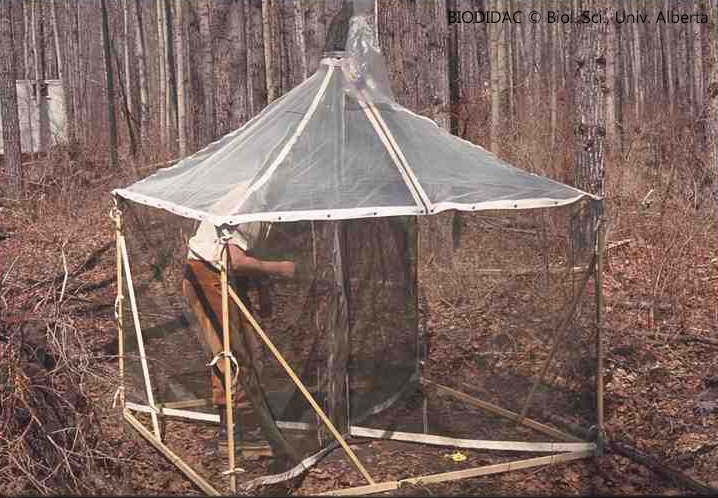 inse009p.jpeg inse009p.jpeg