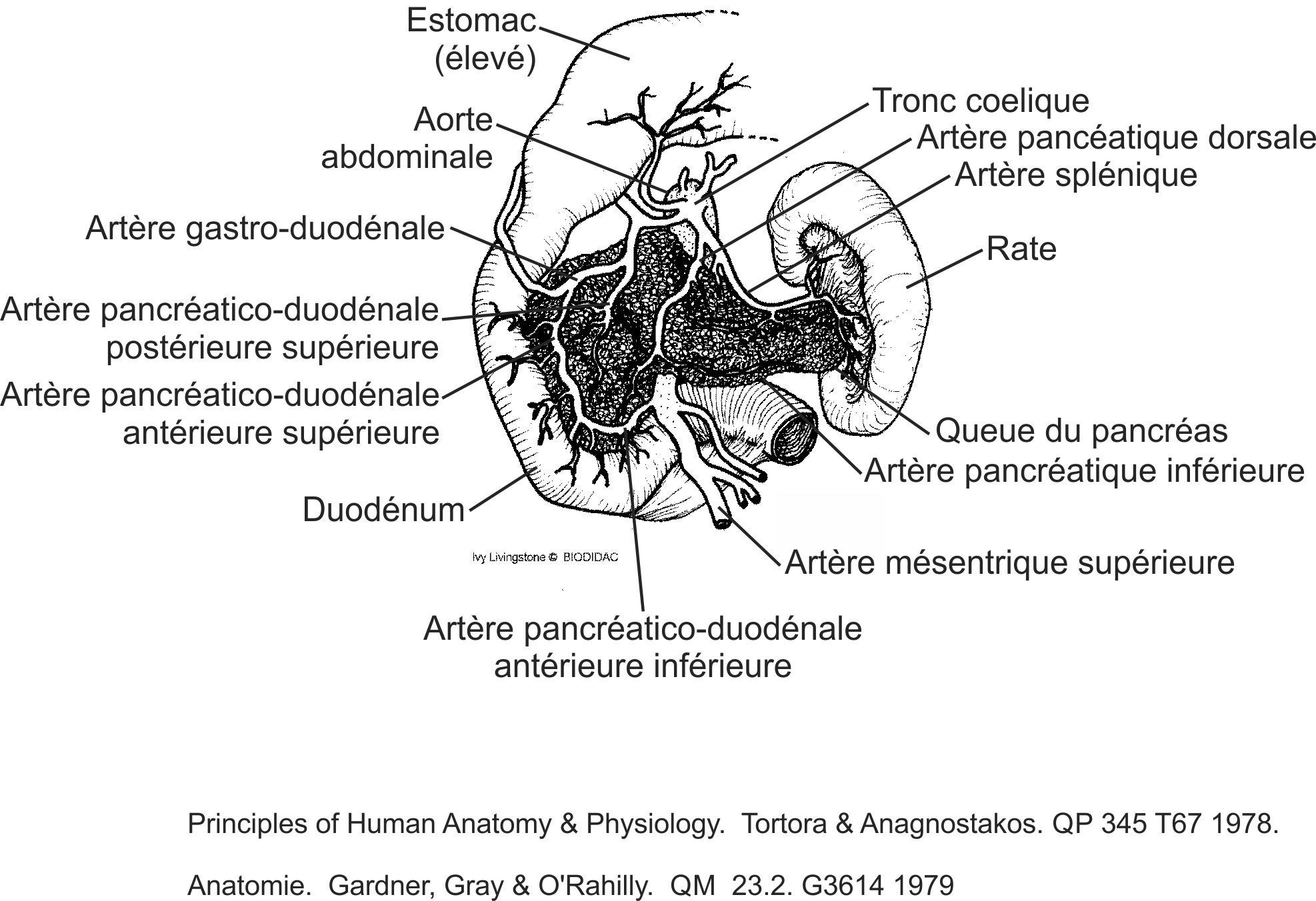 humn110b-FR.png