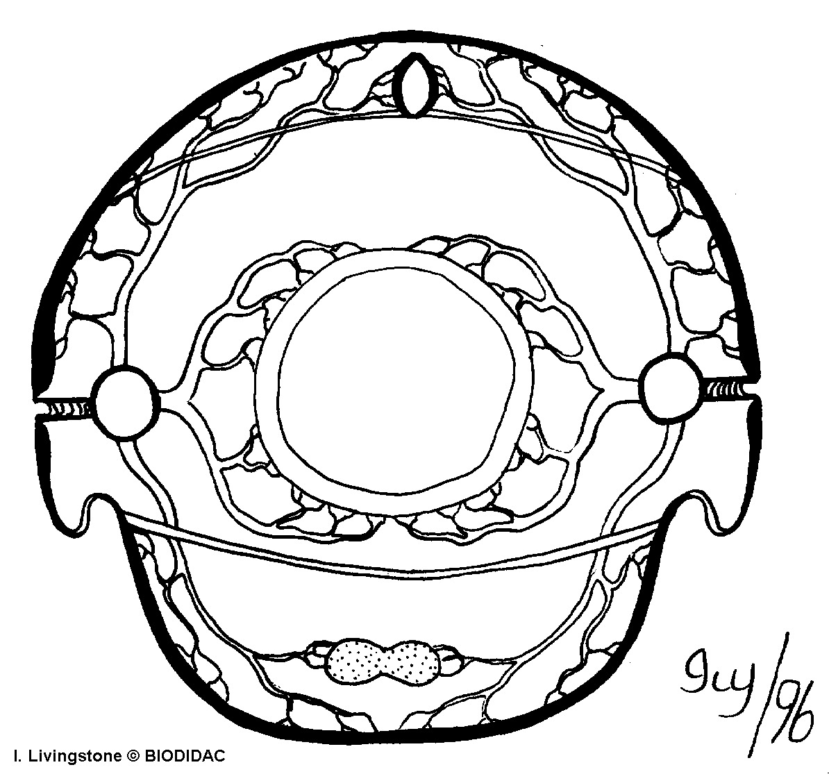 inse020b.gif inse020b.gif