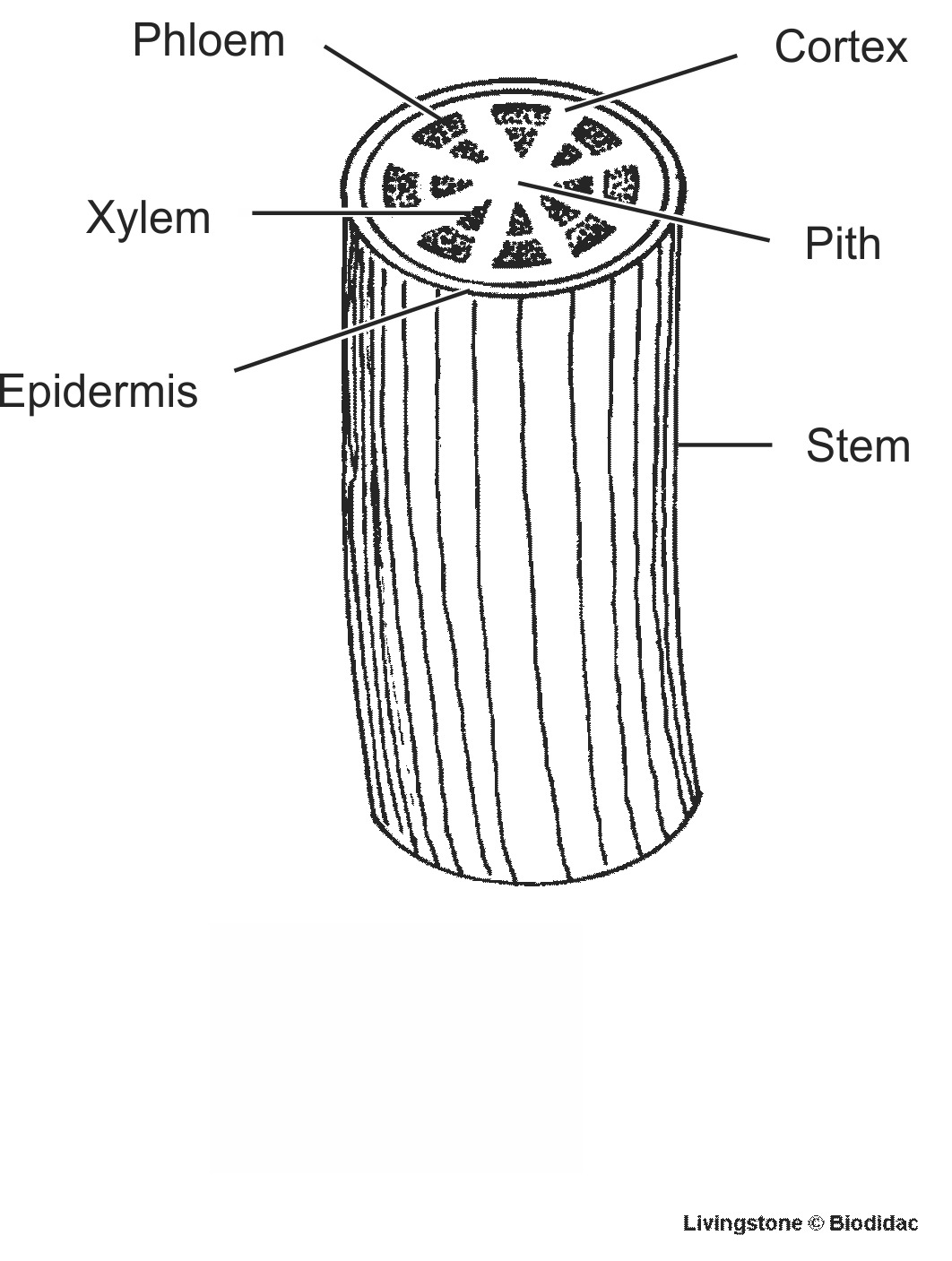 dico026b-EN.png dico026b-EN.png