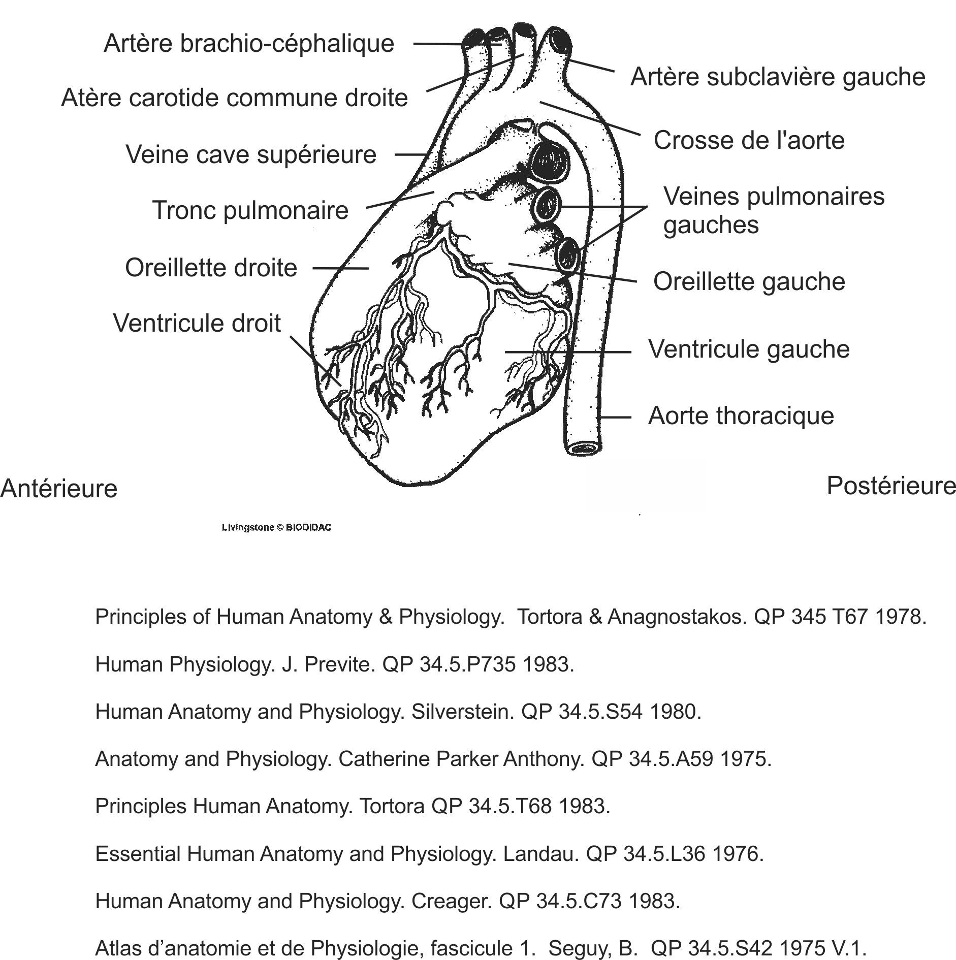 humn043b-FR.png