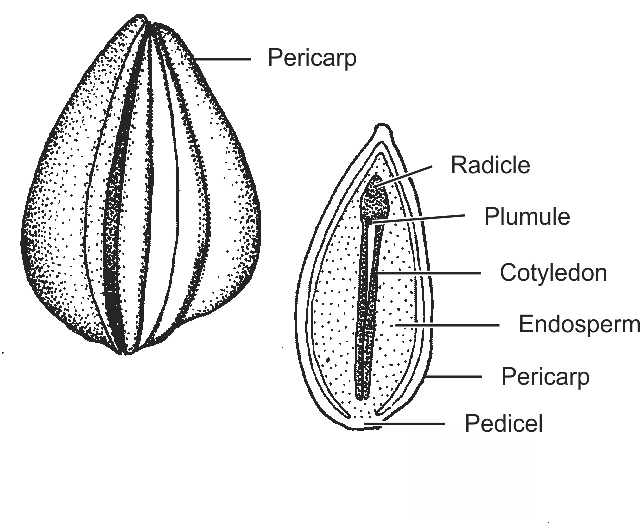 astr001b-EN.png