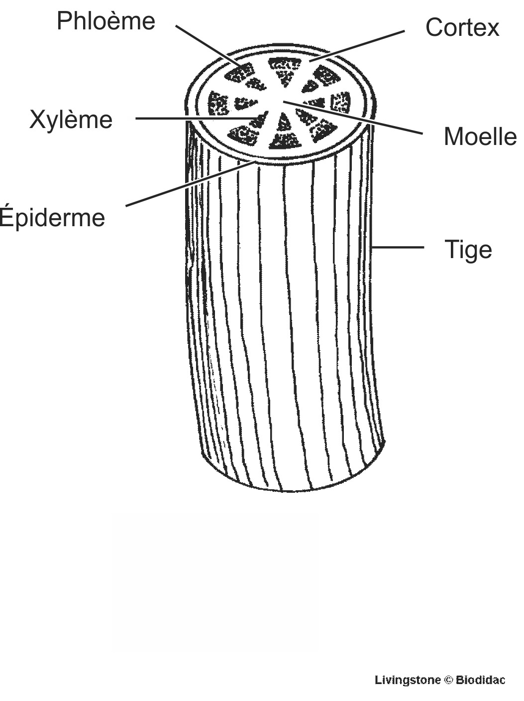 dico026b-FR.png dico026b-FR.png