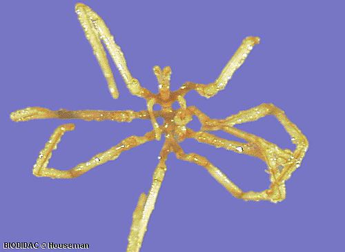 chel015p.gif chel015p.gif