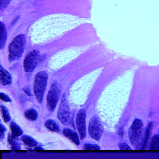 c7-5j17.gif c7-5j17.gif