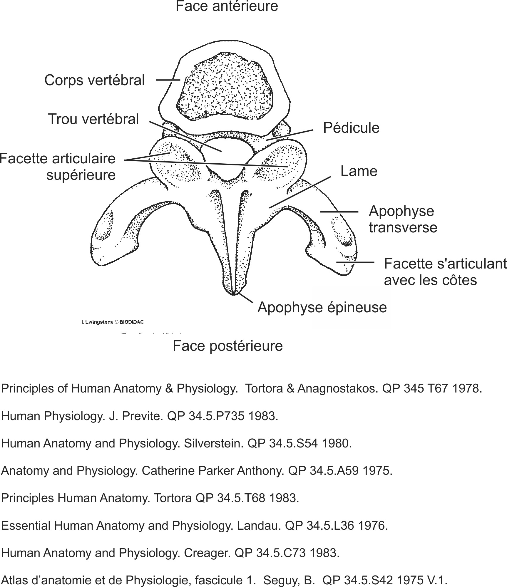 humn079b-FR.png