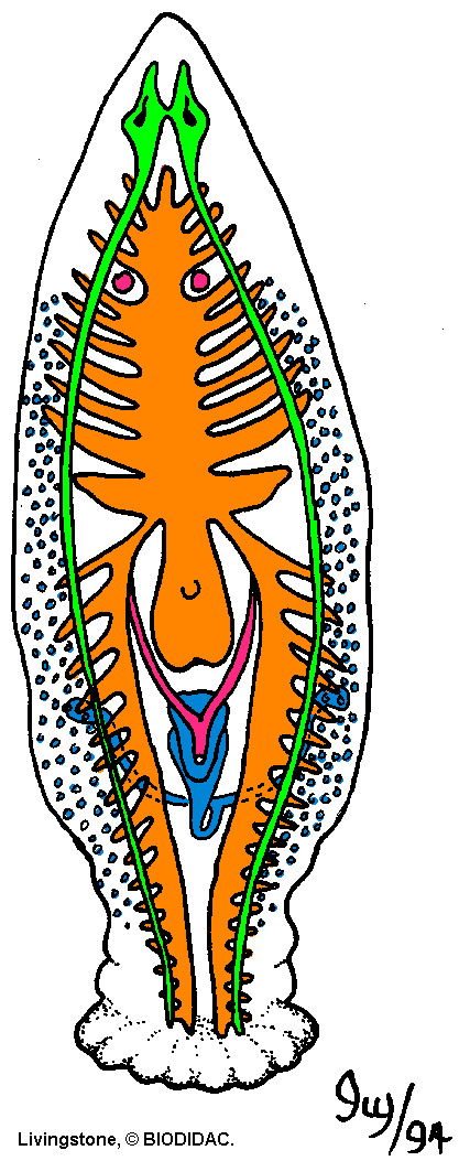 turb004c.gif turb004c.gif