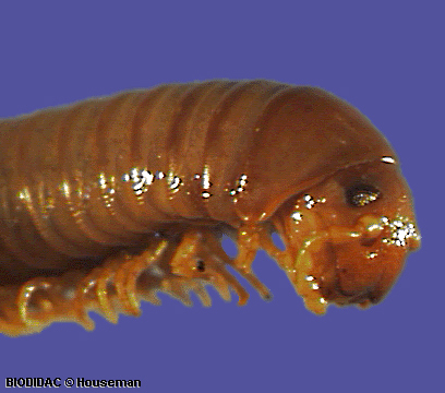 unir007p.jpeg unir007p.jpeg