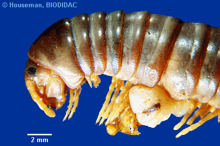 unir030p.jpeg unir030p.jpeg