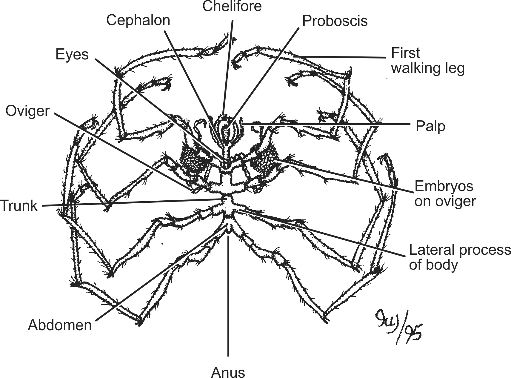 chel004b-EN.png chel004b-EN.png