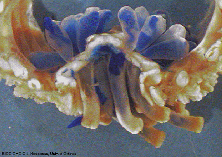 aste013p.gif aste013p.gif