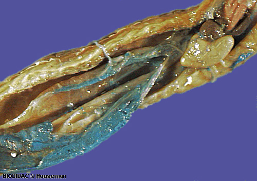 rept025p.jpeg rept025p.jpeg