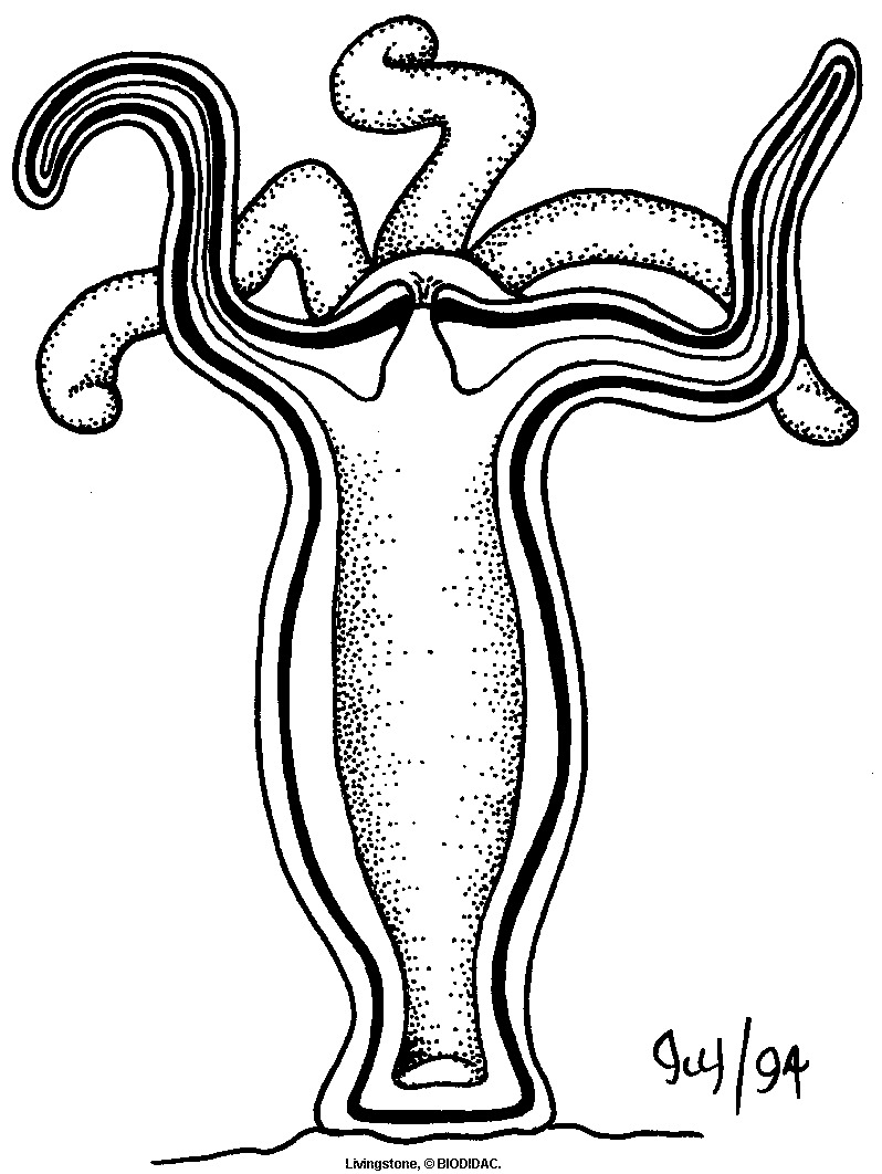 hydr006b.gif hydr006b.gif