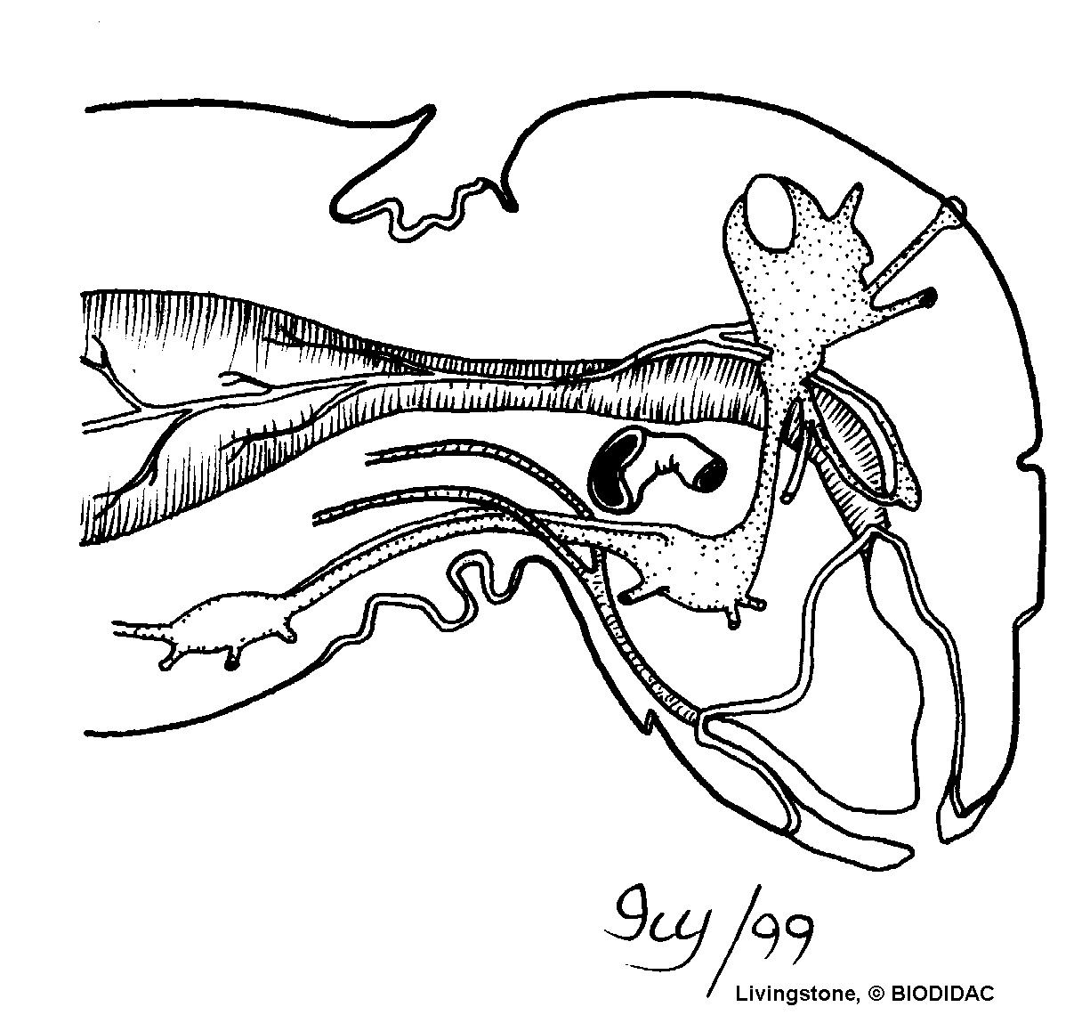 inse116b.gif inse116b.gif