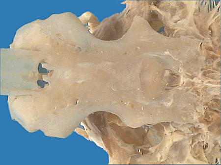 squa176p.jpeg squa176p.jpeg