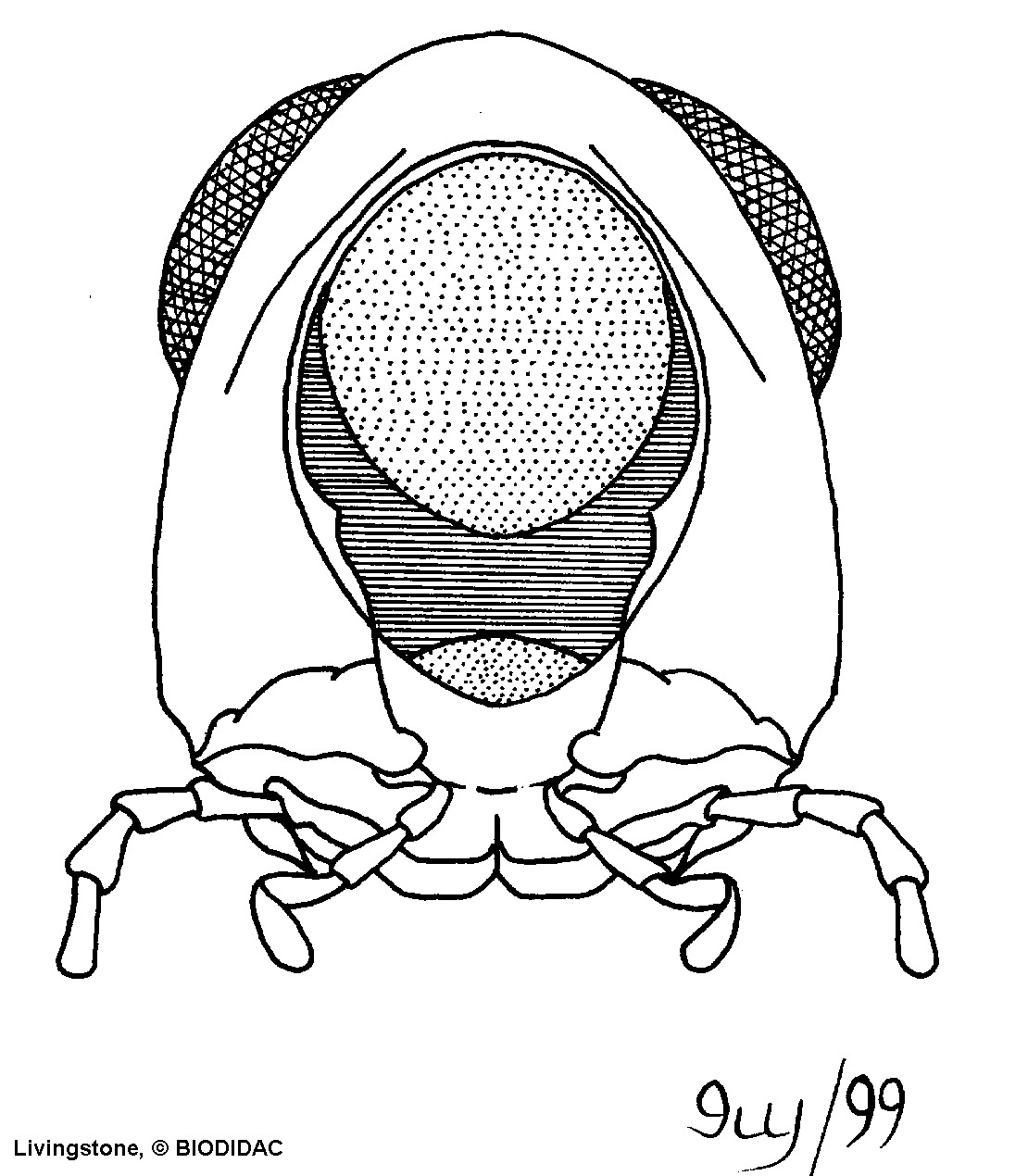 inse125b.gif inse125b.gif